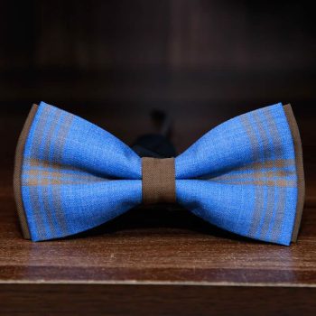 Blue And Brown Textured Bow Tie