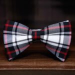Red And Black Checked Bow Tie
