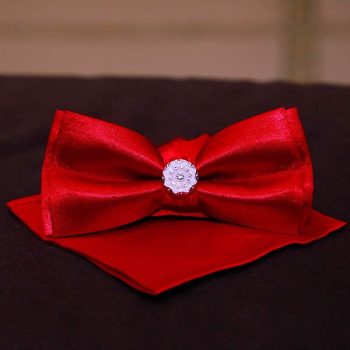 Stylish Red Bow Tie
