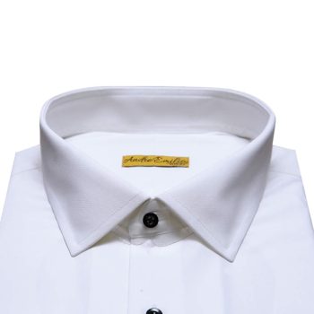 Oxford White Shirt Collar
