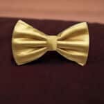 Golden Bow Tie