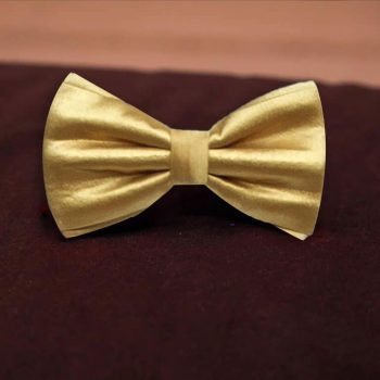 Elegant golden bow tie for formal wear
